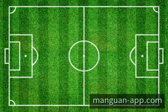 满冠体育APP更新与使用指南